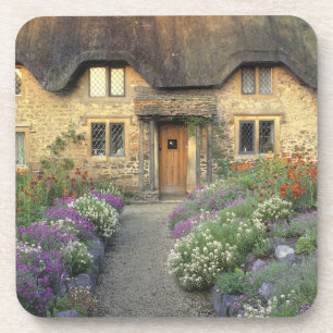 Porta-copo Europa, Inglaterra, Chippenham. Luz de manhã cedo