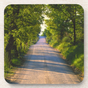 Porta-copo Europa, Itália, Toscana, estrada arborizada