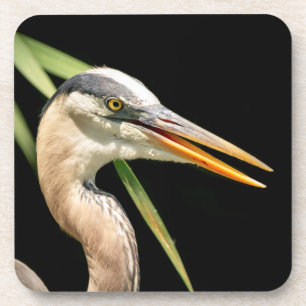 Porta-copo Excelente Blue Heron