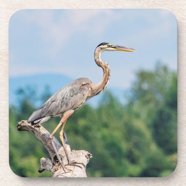 Porta-copo Excelente Blue Heron (Frente)