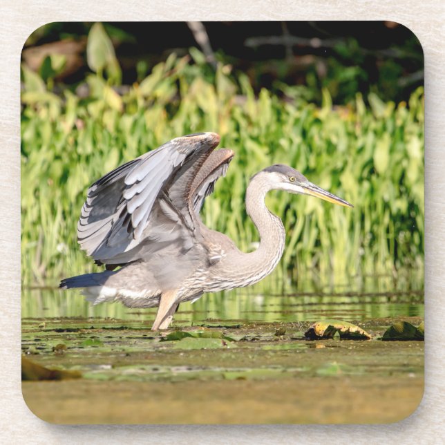 Porta-copo Excelente Blue Heron (Frente)