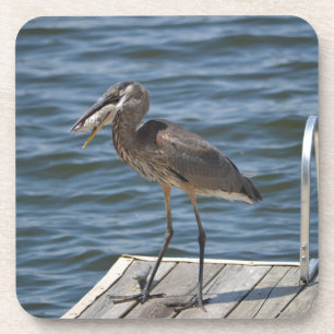 Porta-copo Excelente Blue Heron Bird Nature