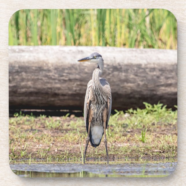 Porta-copo Excelente Blue Heron no lago Champlain (Frente)