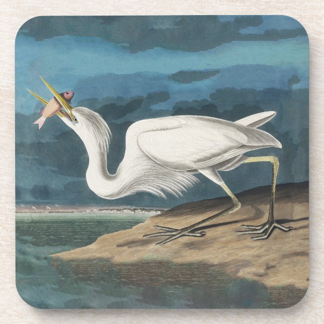 Porta-copo Excelente White Heron Audubon Bird Willife Paintin (Frente)