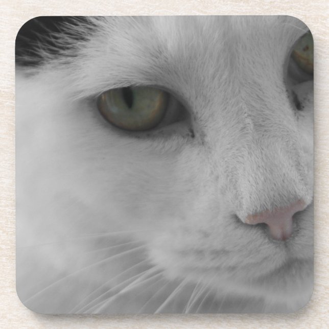 Porta-copo Face de gatos brancos e pretos (Frente)