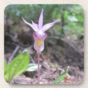 Porta-copo Fairyslipper Orchid