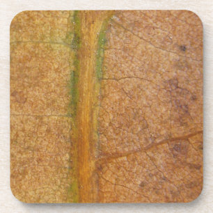 Porta-copo Fallen Leaf 11