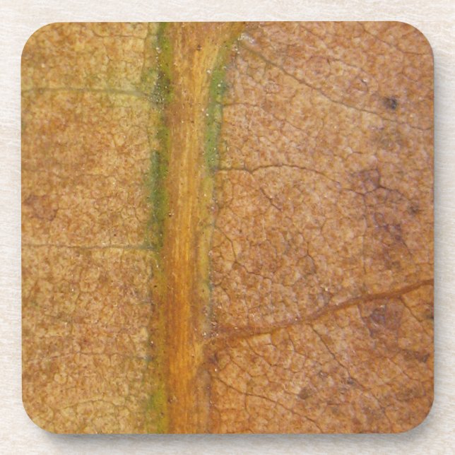 Porta-copo Fallen Leaf 11 (Frente)