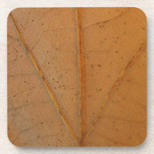 Porta-copo Fallen Leaf 6