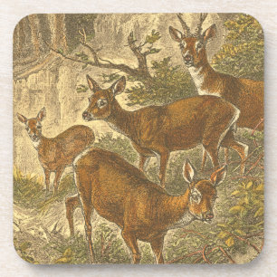 Porta-copo Família de Roe - Deers em Floresta