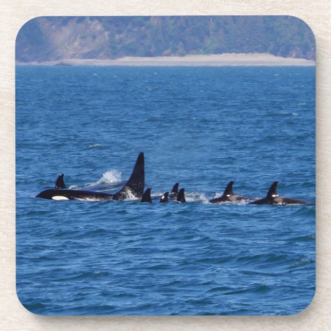 Porta-copo Famílias unidas (Frente)