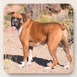 Porta-copo Fawn e White Boxer Puppy Dog