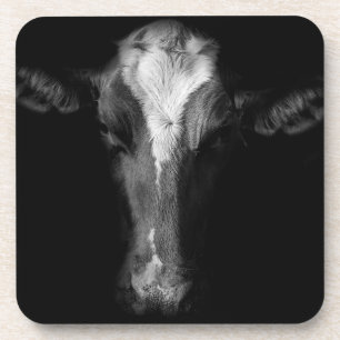 Porta-copo Fazendas   Foto Da Cabeça De Vaca B&W
