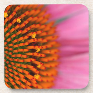 Porta-copo Fechamento de uma Flor Cone no Verão,