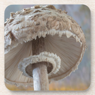 Porta-copo Fechar A Parte Inferior Do Cogumelo