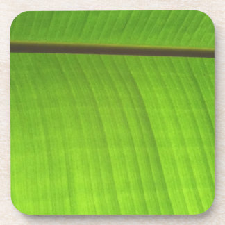Porta-copo Fecho de Banana Leaf