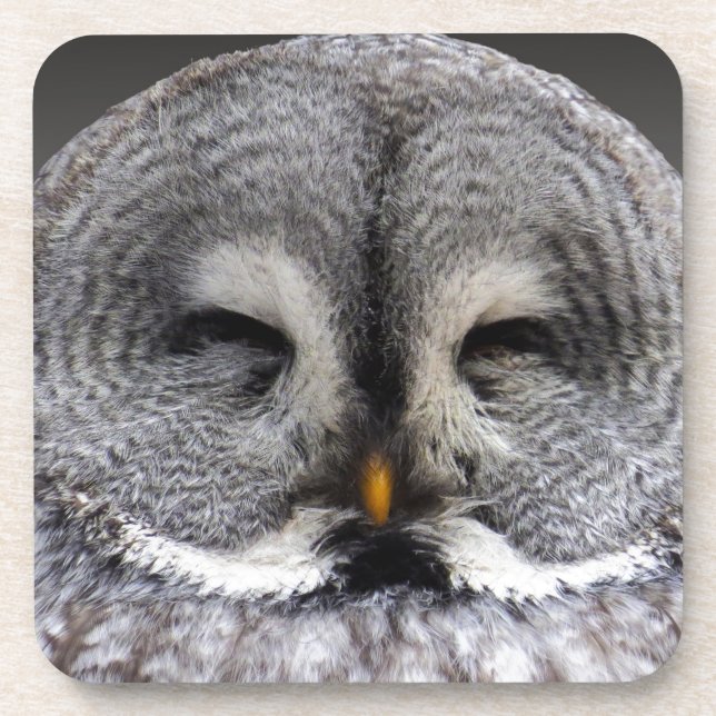 Porta-copo Feliz Coruja (Frente)