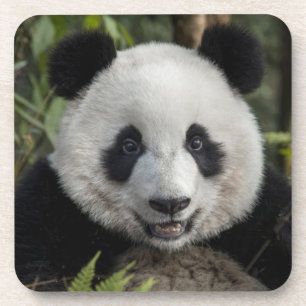 Porta-copo Feliz panda jovem, China