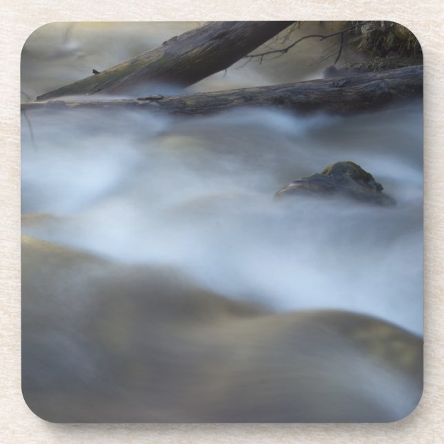 Porta-copo Felpudo 6 Cork (Frente)