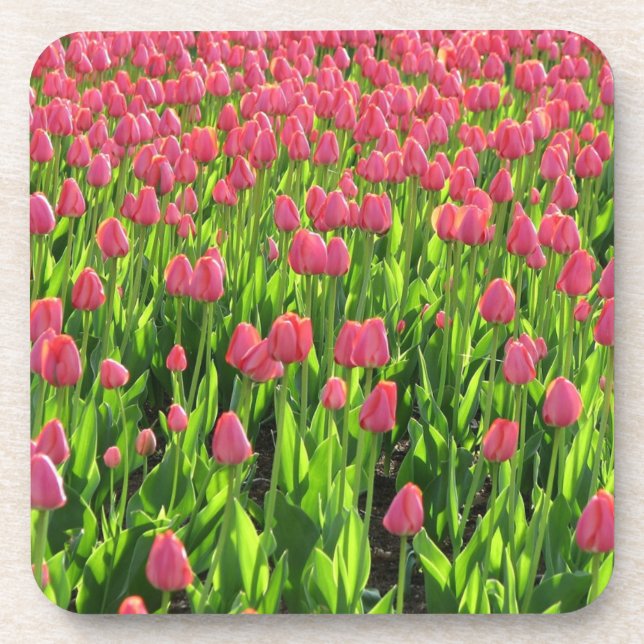 Porta-copo Field of Pink Tulips (Frente)
