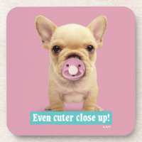 Filhote de cachorro bonito com Pacifier