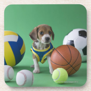 Porta-copo Filhote de cachorro cercado por bolas do esporte