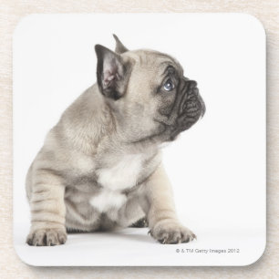 Porta-copo Filhote de cachorro da pedigree