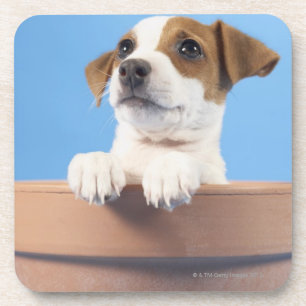Porta-copo Filhote de cachorro de florescência