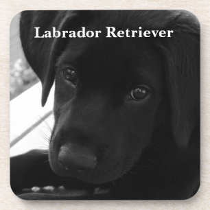 Porta-copo Filhote de cachorro de labrador retriever