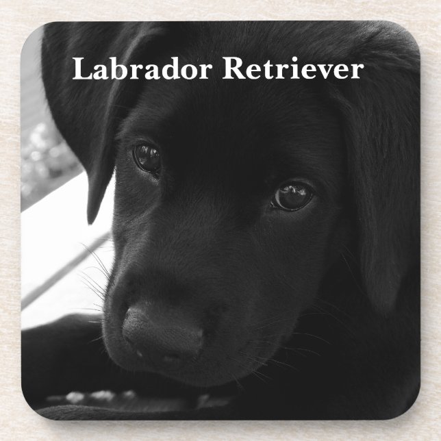 Porta-copo Filhote de cachorro de labrador retriever (Frente)