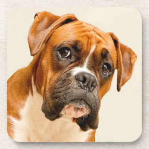 Porta-copo Filhote de cachorro do pugilista no contexto do