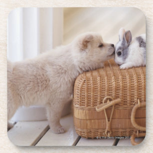 Porta-copo Filhote de cachorro e coelho