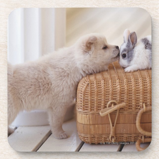 Porta-copo Filhote de cachorro e coelho (Frente)