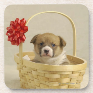 Porta-copo Filhote de cachorro em uma cesta