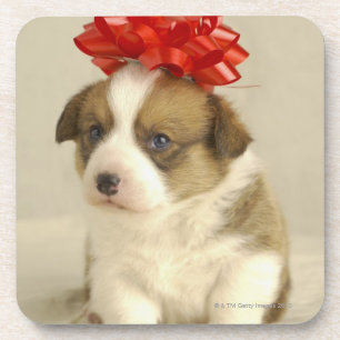 Porta-copo Filhote de cachorro que veste um arco vermelho