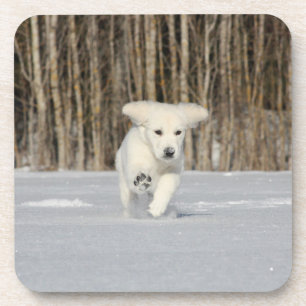 Porta-copo Filhote de Retriever Dourado Branco na Neve