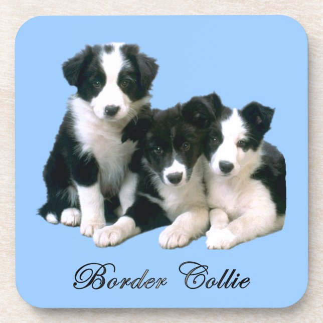 Porta-copo Filhotes de cachorro de border collie (Frente)