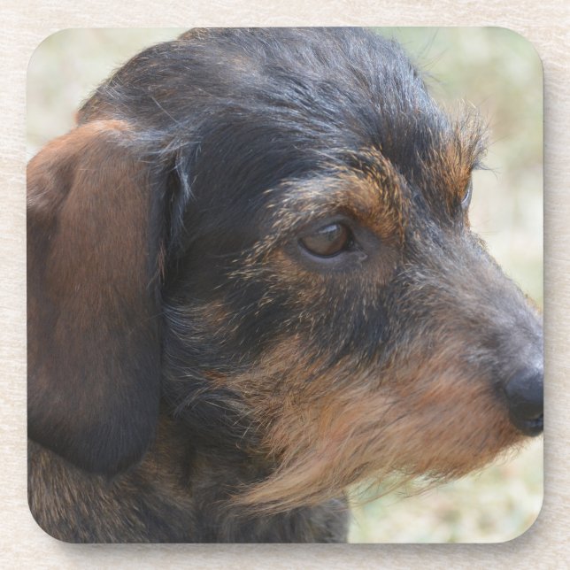 Porta-copo Fio bonito Dashchund de cabelo (Frente)