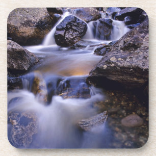 Porta-copo Fish Creek cai perto de Primaveras Steamboat Color