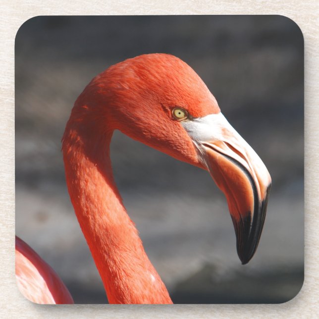 Porta-copo Flamingo (Frente)