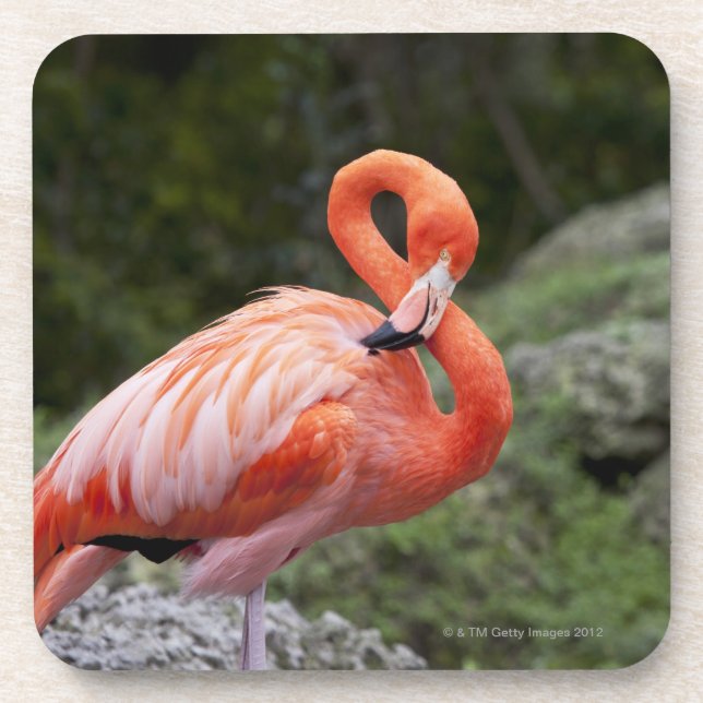 Porta-copo Flamingo cor-de-rosa (Frente)