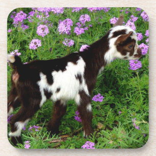 Porta-copo Flashy Nigerian Dwarf Goat Kid em flores roxas