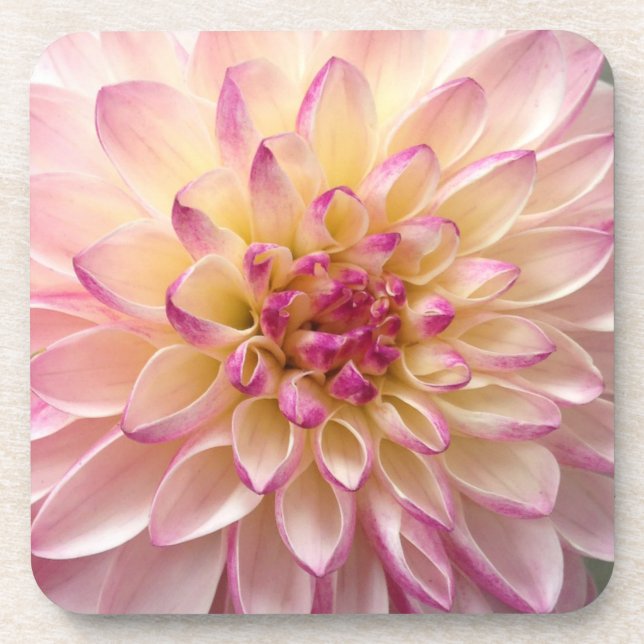 Porta-copo flor (Frente)