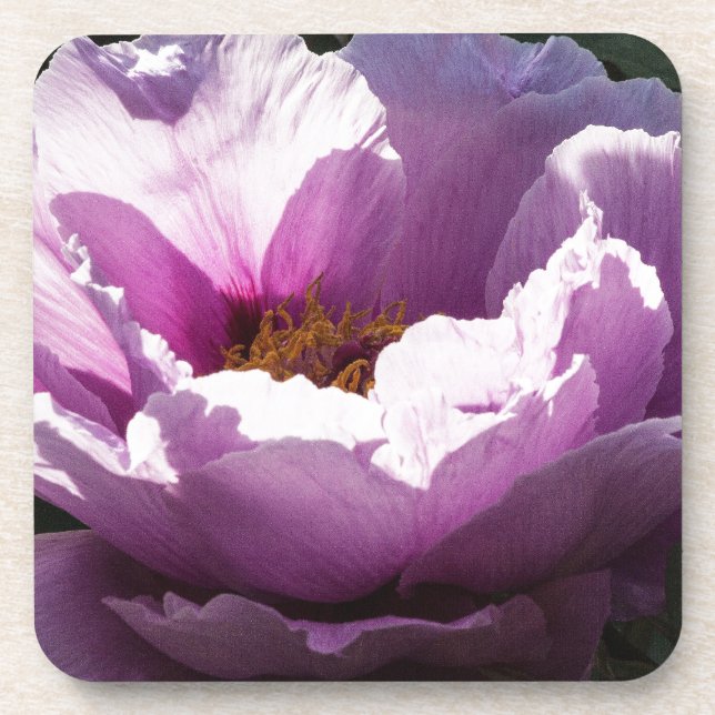 Porta-copo flor (Frente)