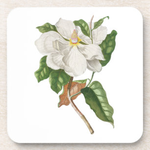 Porta-copo Flor: A004 Magolia -