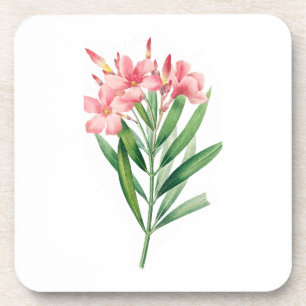 Porta-copo Flor: A005 Oleander -