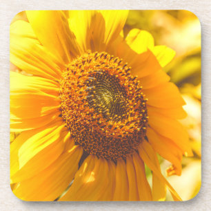 Porta-copo Flor Amarelo Sunflower