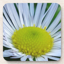 Porta-copo Flor branca e amarela