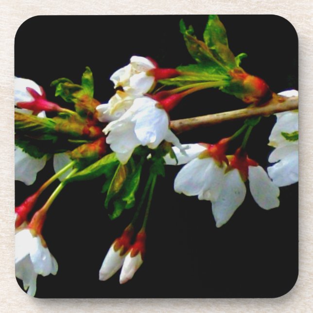 Porta-copo Flor branco branco esbranquiçado florescente (Frente)