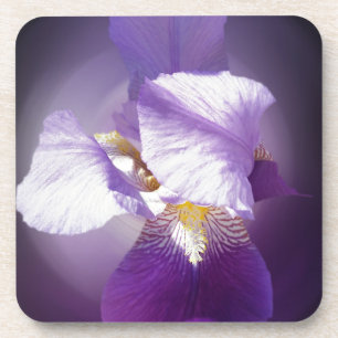 Porta-copo flor da íris púrpura